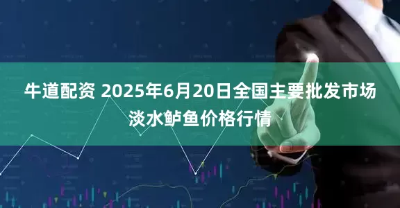 牛道配资 2025年6月20日全国主要批发市场淡水鲈鱼价格行情