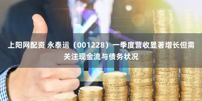 上阳网配资 永泰运(001228)一季度营收显著增长但需关注现金流与债务状况