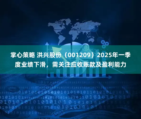 掌心策略 洪兴股份（001209）2025年一季度业绩下滑，需关注应收账款及盈利能力