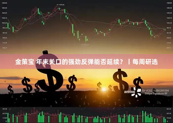 金策宝 年末关口的强劲反弹能否延续？丨每周研选