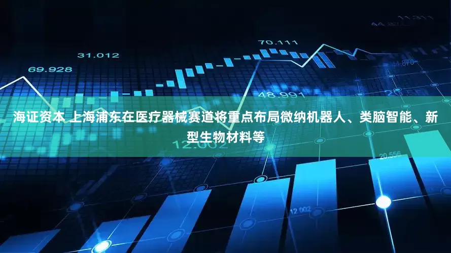 海证资本 上海浦东在医疗器械赛道将重点布局微纳机器人、类脑智能、新型生物材料等