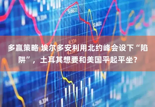 多赢策略 埃尔多安利用北约峰会设下“陷阱”，土耳其想要和美国平起平坐？